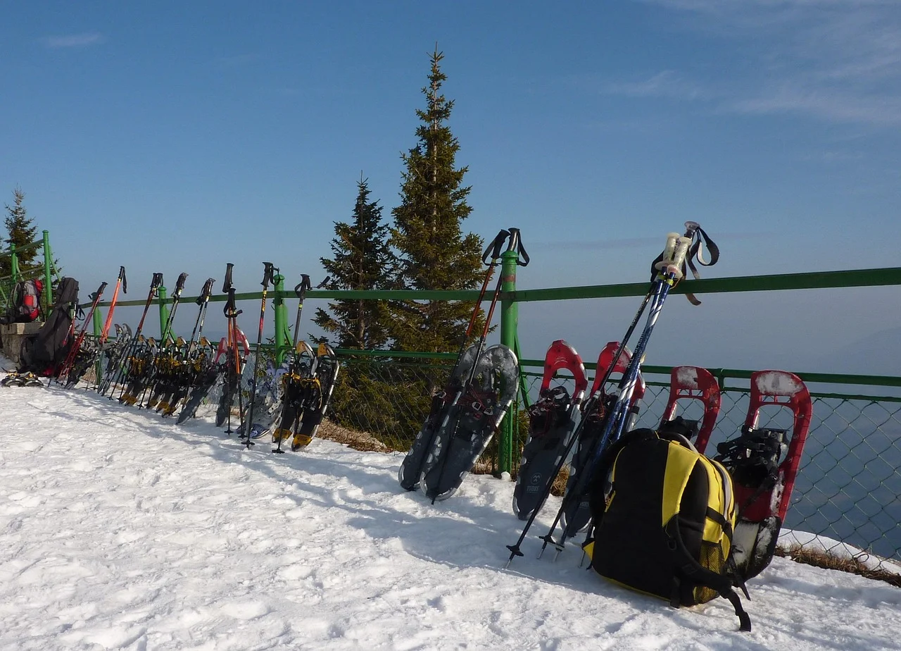 Snowshoe walking on the 17 km of winter routes of the Plateau des Glières